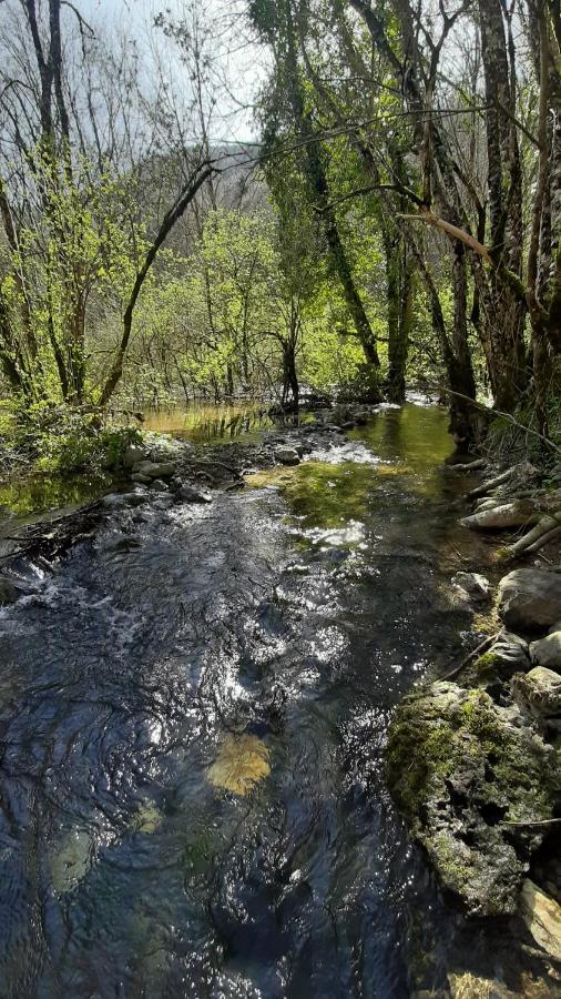 Petite Maison De Village Situee Entre Lacs, Cascades Et Montagnes Virieu-le-Grand 外观 照片